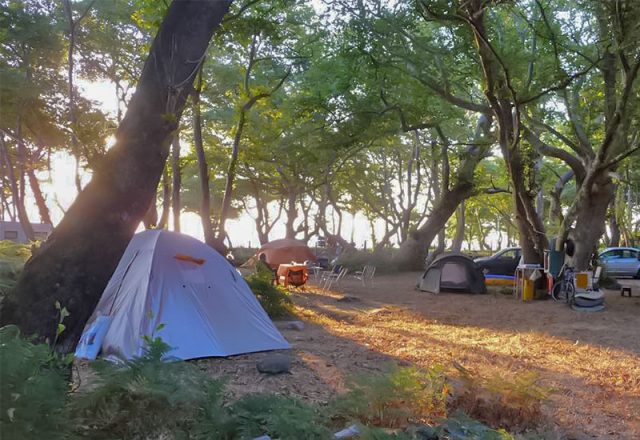 Camping Φυσικής Διαβίωσης