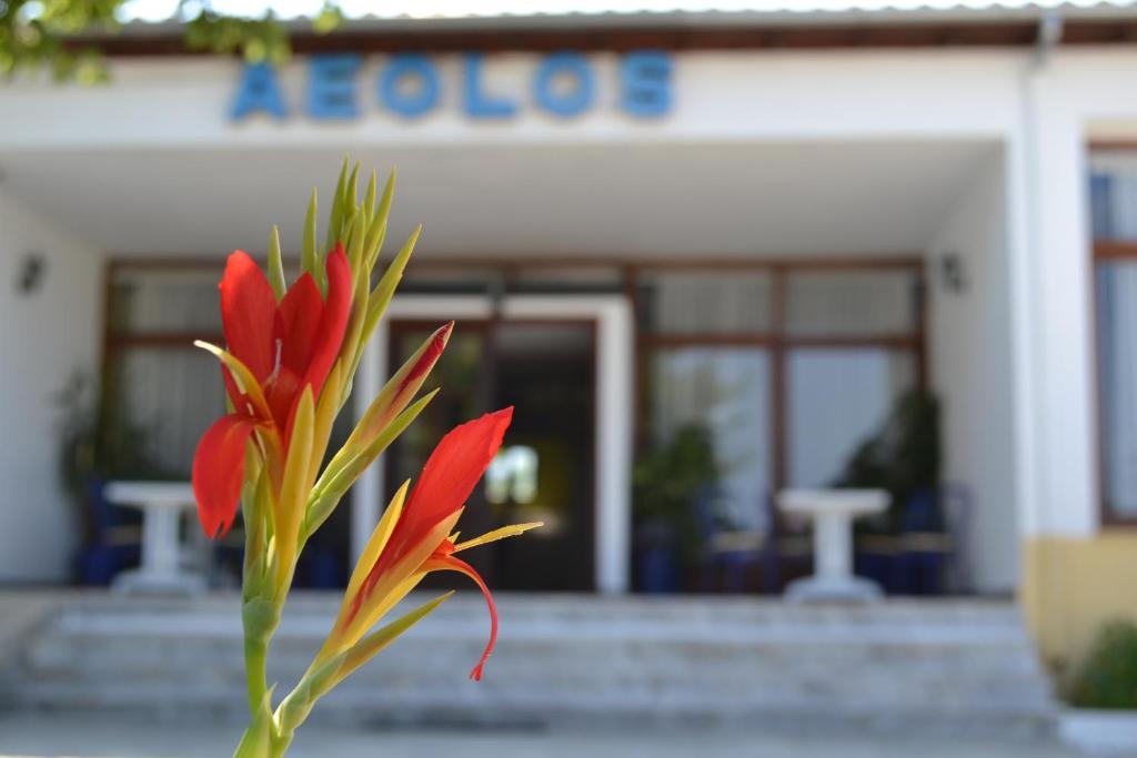 Aeolos Hotel