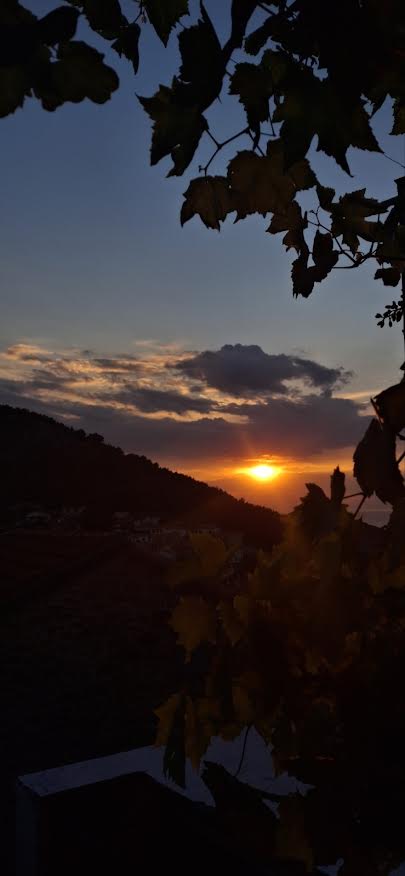 Avli (Αυλή)