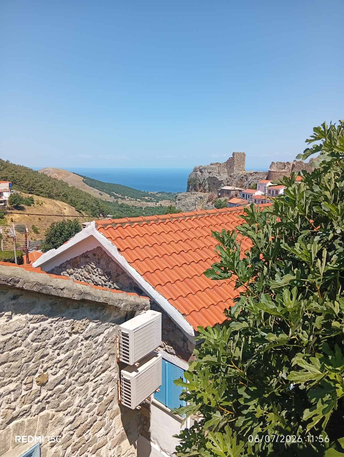 Avli (Αυλή)