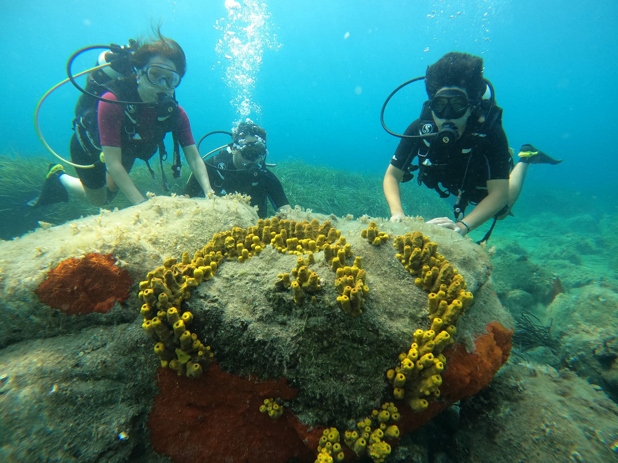 H2O Dive & Fun - Samothraki dive center